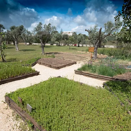 מלון Gale לאגוּ‏ש